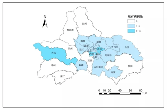 全球疫情地图最新动态及应对策略与态势分析