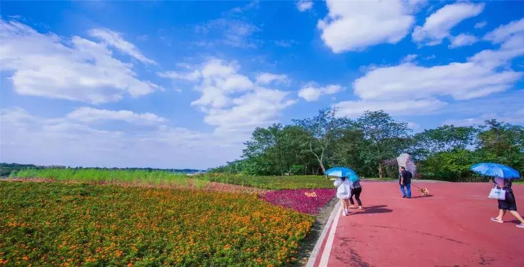 温江区永盛镇最新规划，塑造未来城市新面貌蓝图