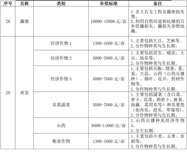 最新执行标准，引领行业发展的核心力量揭秘