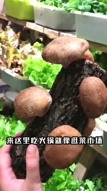 科技前沿探索，最新科技与生活的交融魅力