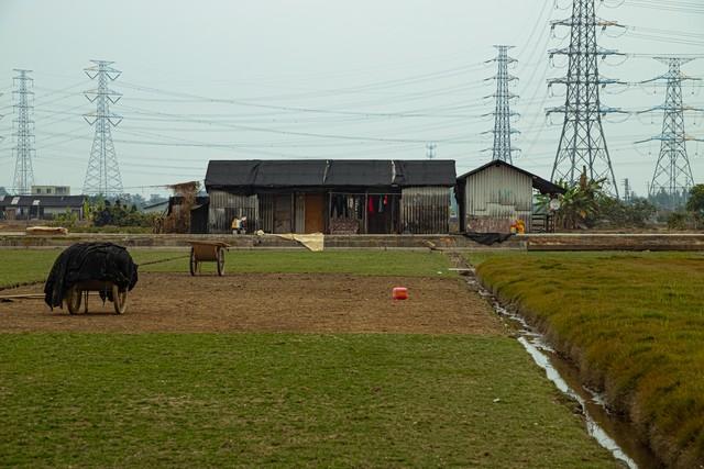 深化土地改革政策助力乡村振兴，中国农民土地最新解读